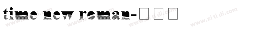 time new roman字体转换